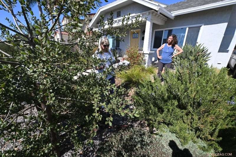 LA Water Police Patrol Streets to Combat Drought-Related Water Waste