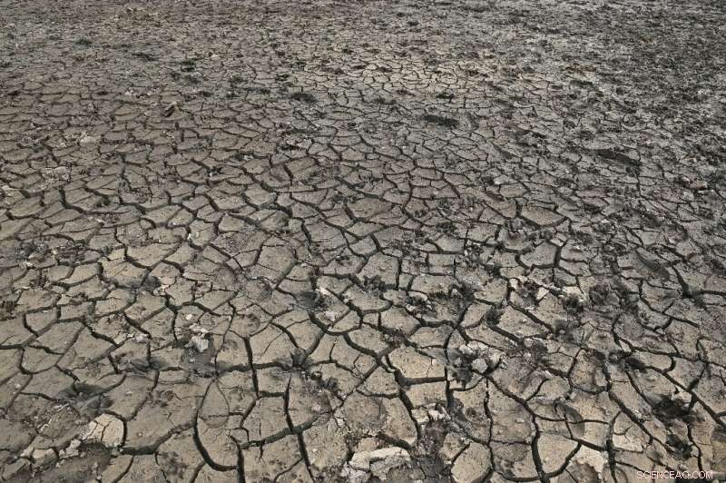 Britain and France Brace for Record Heatwave Amid Escalating European Wildfires