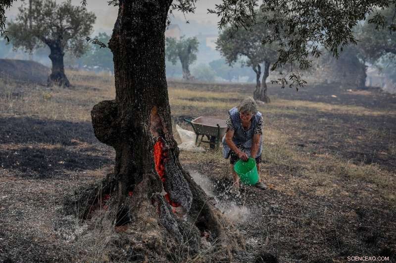 Southwest Europe Battles Record Heat, Wildfires Sweep France, Portugal, Spain