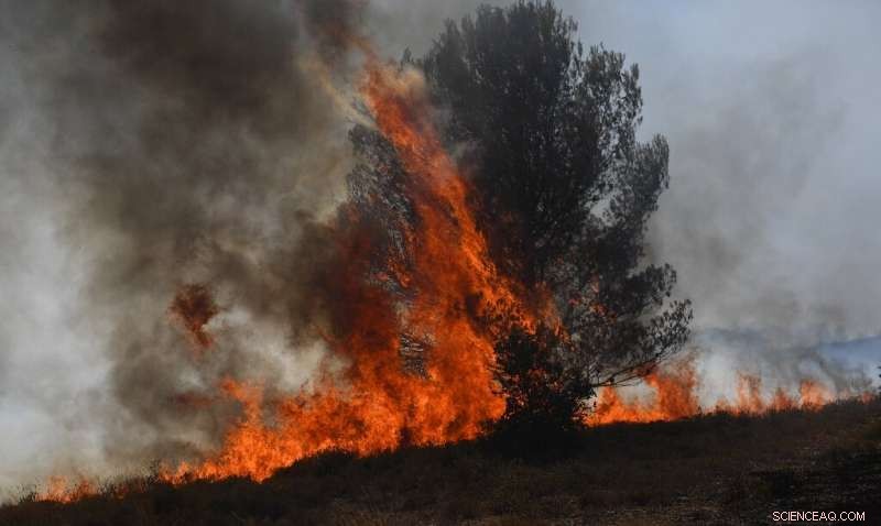 Southwest Europe Battles Record Heat, Wildfires Sweep France, Portugal, Spain