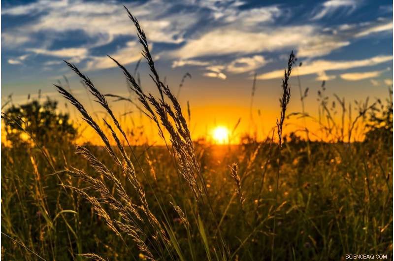 Climate Change and Conflict Threaten Food Security: Study Urges Building Resilient Food Systems