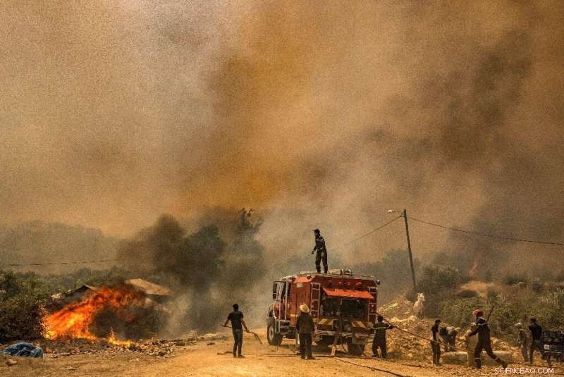 Morocco s Firefighters Contain Four Forest Infernos, Evacuating 500 Families