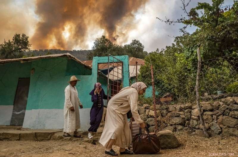 Morocco s Firefighters Contain Four Forest Infernos, Evacuating 500 Families