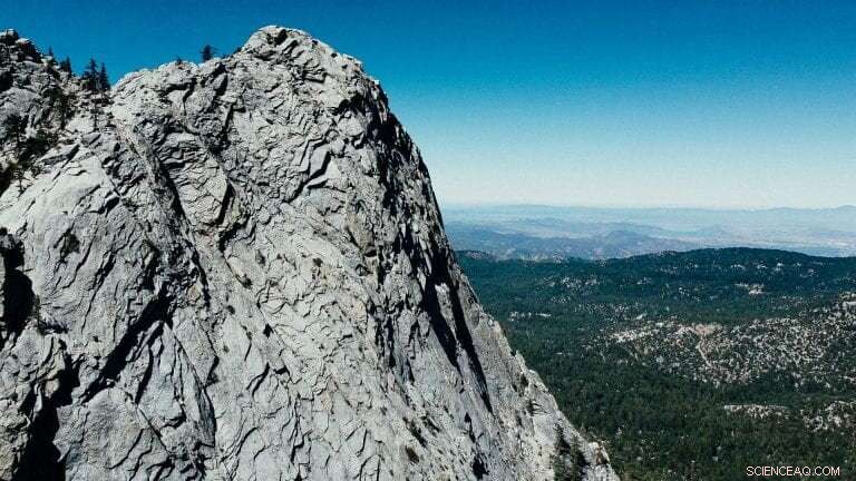 California s Mountain Forests Face 14% Decline: Can They Recover?