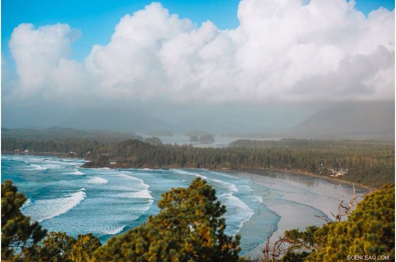 New 3‑D Fluid Distribution Model Illuminates Seismic Risks in Cascadia Subduction Zone