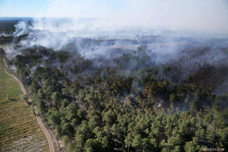 Heatwave Peaks in Spain, Fueling Wildfires Across Southern Europe