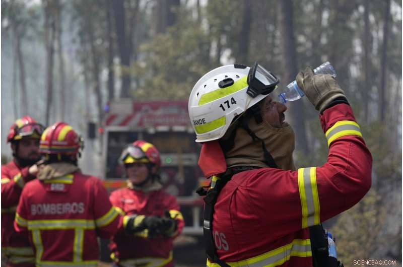 Portugal s Villages Unite to Combat Wildfires Amid Europe s Heatwave