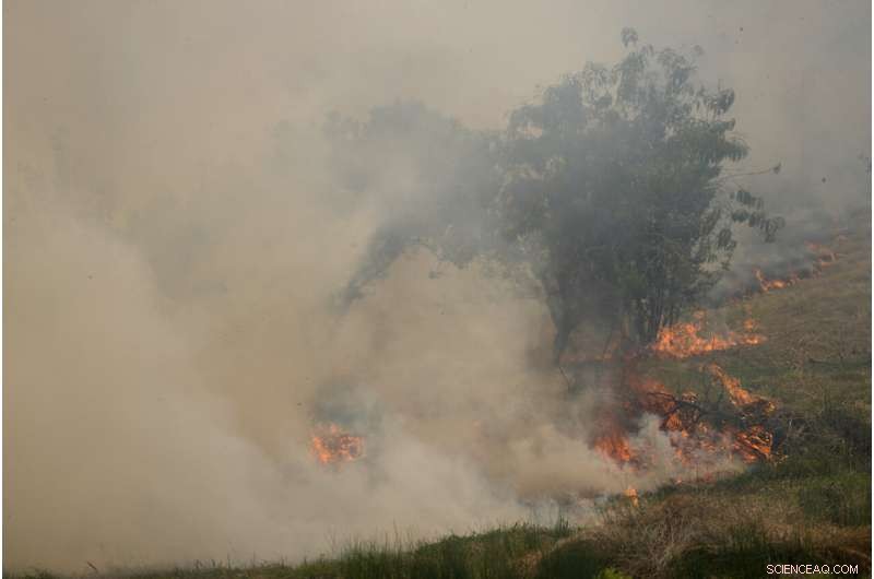 Portugal s Villages Unite to Combat Wildfires Amid Europe s Heatwave