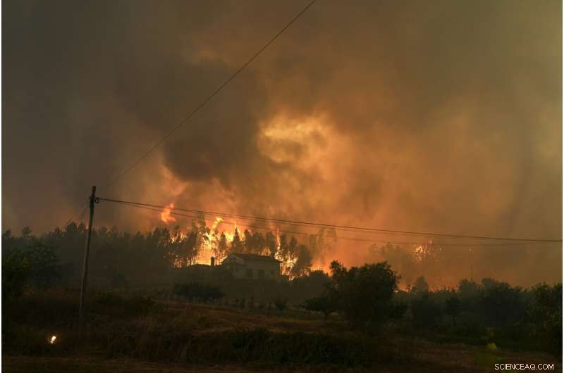 Portugal s Villages Unite to Combat Wildfires Amid Europe s Heatwave