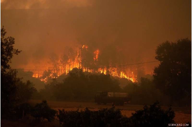Portugal s Villages Unite to Combat Wildfires Amid Europe s Heatwave