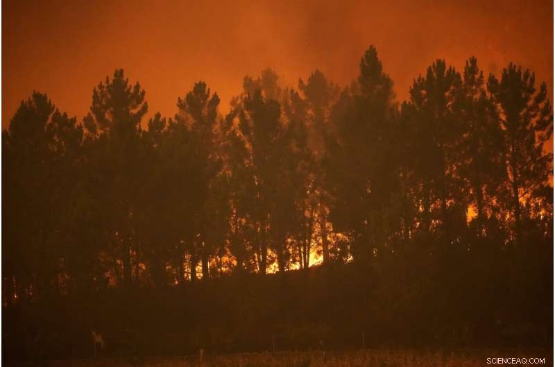 Portugal s Villages Unite to Combat Wildfires Amid Europe s Heatwave