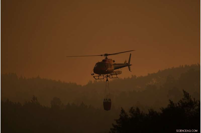 Portugal s Villages Unite to Combat Wildfires Amid Europe s Heatwave