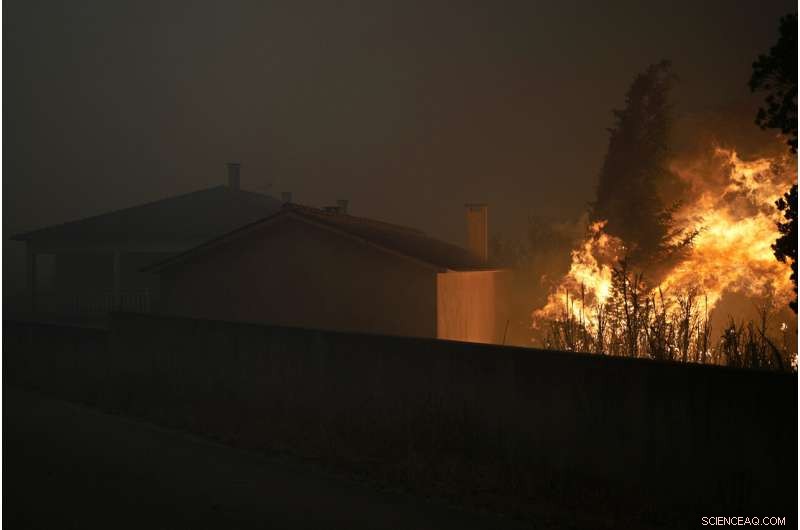 Portugal s Villages Unite to Combat Wildfires Amid Europe s Heatwave
