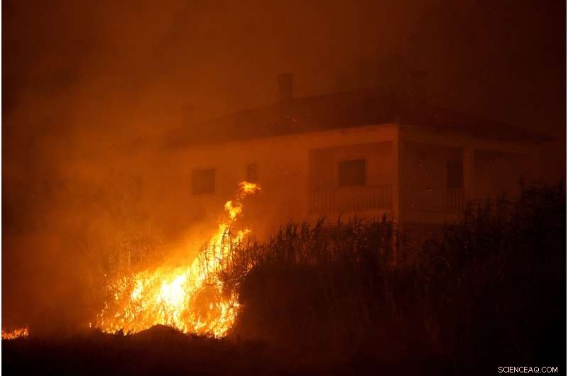 Portugal s Villages Unite to Combat Wildfires Amid Europe s Heatwave