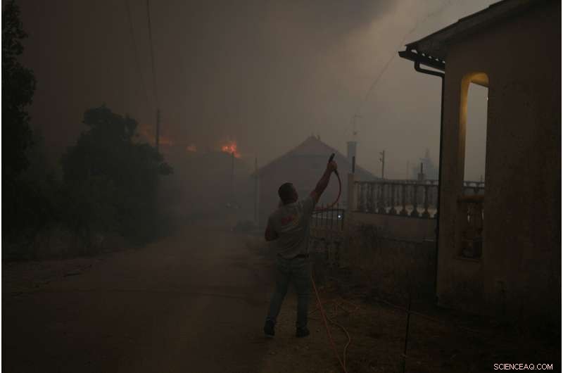 Portugal s Villages Unite to Combat Wildfires Amid Europe s Heatwave