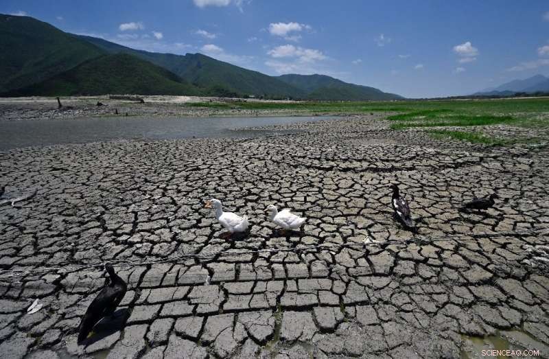 Mexico Declares Drought Emergency to Secure Water Supply