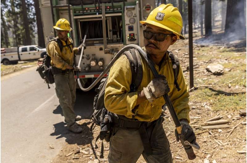 Strategic Prescribed Burns Protect Yosemite Sequoias from Wildfire