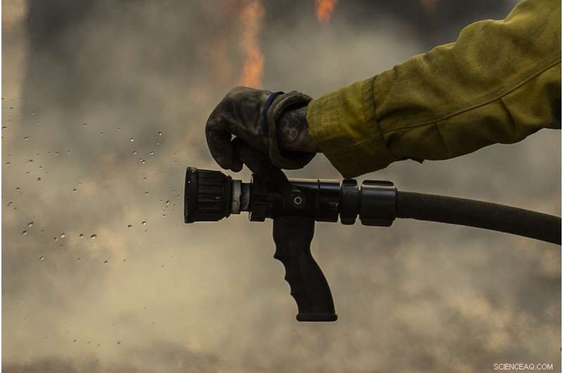Strategic Prescribed Burns Protect Yosemite Sequoias from Wildfire