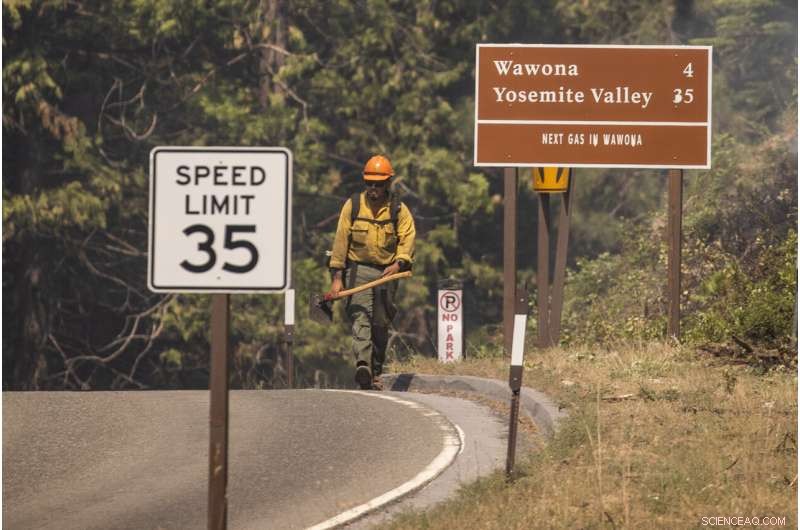 Strategic Prescribed Burns Protect Yosemite Sequoias from Wildfire