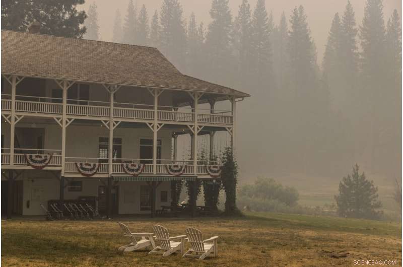 Strategic Prescribed Burns Protect Yosemite Sequoias from Wildfire