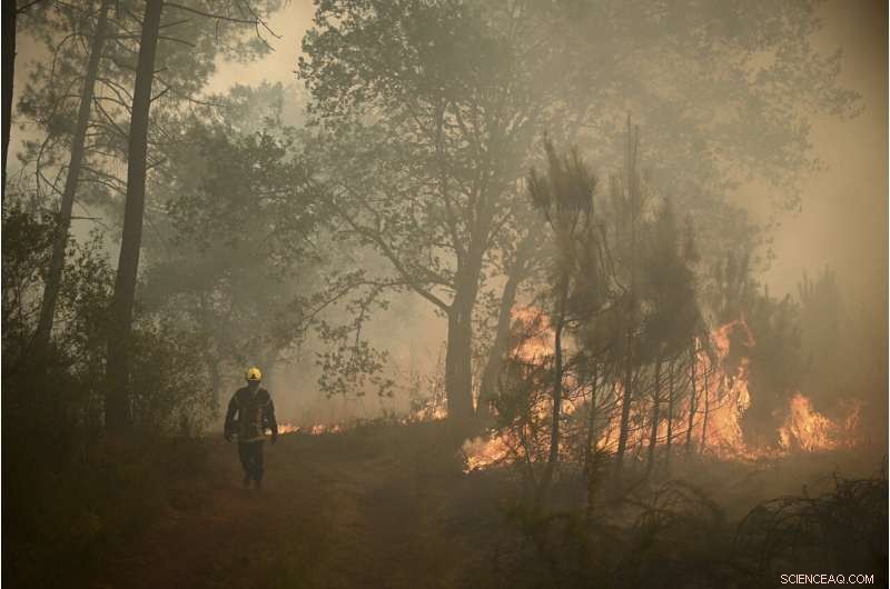 Europe Battles Heatwave‑Fueled Wildfires in France and Spain
