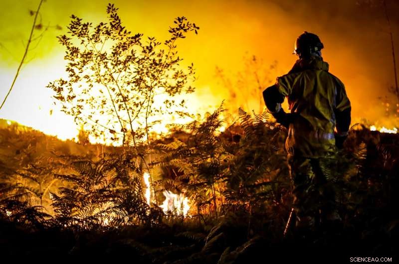 Europe Battles Heatwave‑Fueled Wildfires in France and Spain