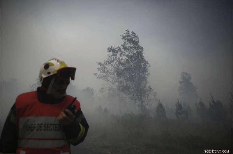 Europe Battles Heatwave‑Fueled Wildfires in France and Spain