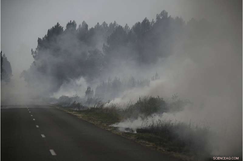 Europe Battles Heatwave‑Fueled Wildfires in France and Spain