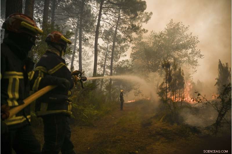 Europe Battles Heatwave‑Fueled Wildfires in France and Spain