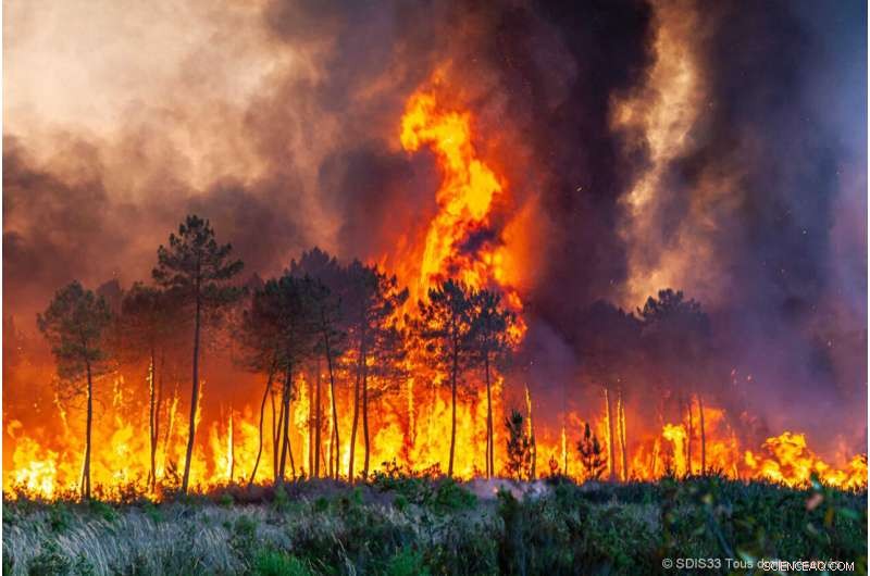 Europe Battles Heatwave‑Fueled Wildfires in France and Spain
