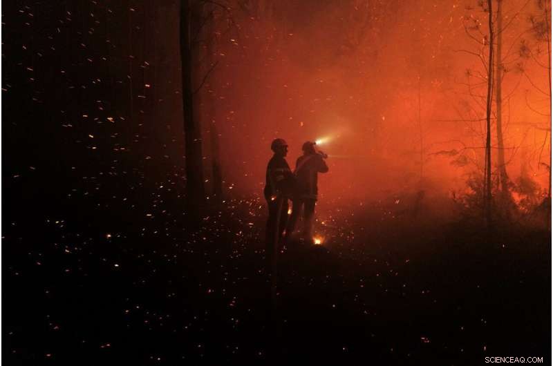 Europe Battles Heatwave‑Fueled Wildfires in France and Spain