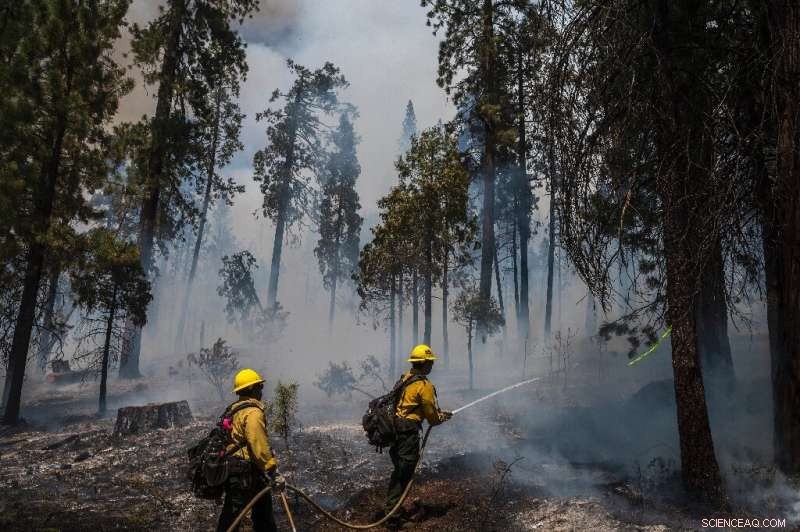 U.S. Firefighters Rush to Protect Yosemite’s Giant Sequoias from Washburn Blaze