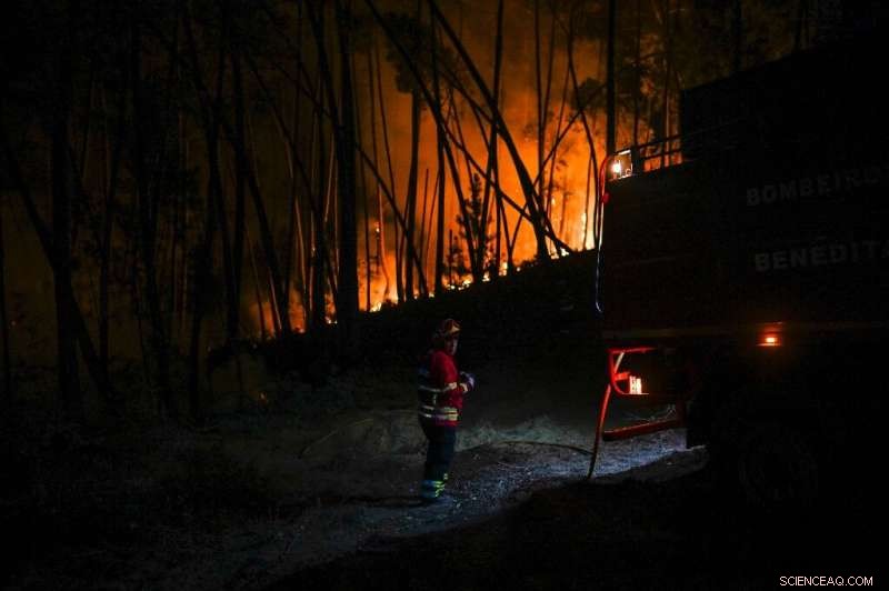 Spain Faces Intense Heatwave; UK Braces for Rising Temperatures