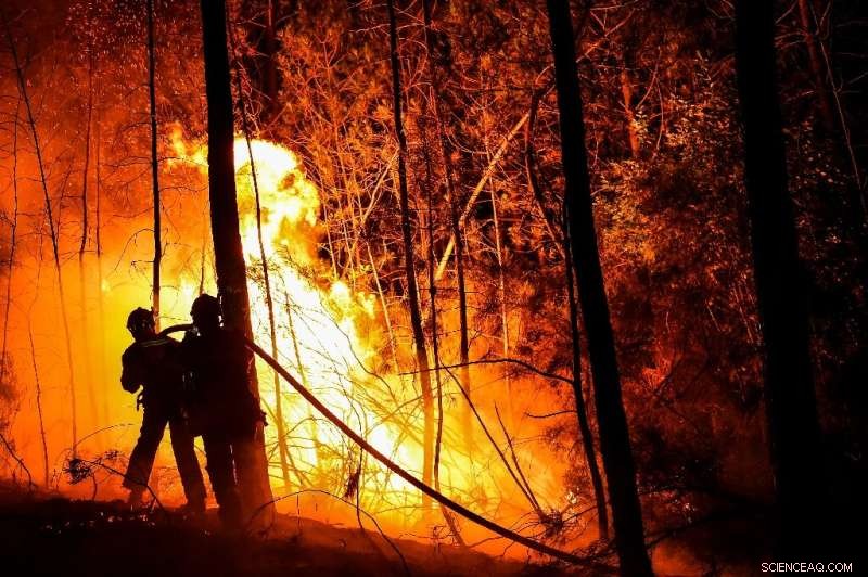 Over 900 Firefighters and Aircraft Battle Massive Blaze in Southern France s Gard Region