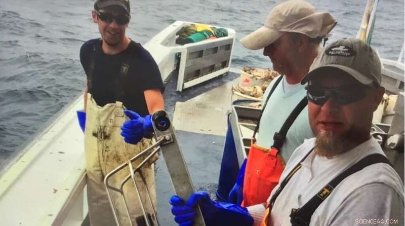 Mid-Atlantic Bight Waters Show Rising Salinity Due to Warm Water Intrusions