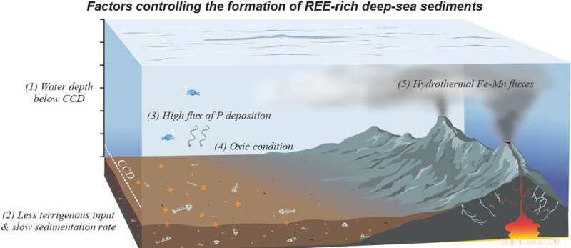 Deep‑Sea Mining: A Sustainable Path to Secure Rare Earth Elements