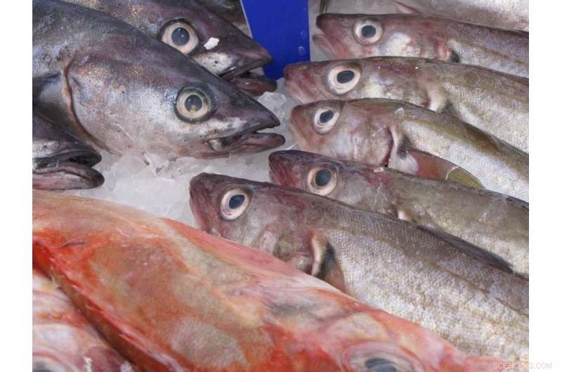 Indo-Pacific Coastal Food Systems at Risk from Climate Change