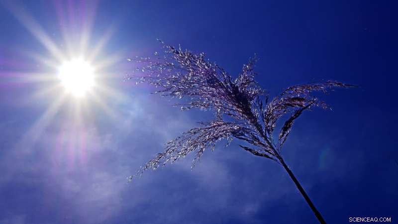 European Heatwaves Rise: Jet Stream Shifts Drive More Frequent Heat Events