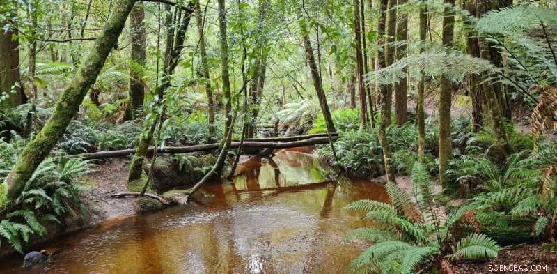 Nature Restoration Alone Won t Offset Fossil Fuel Emissions