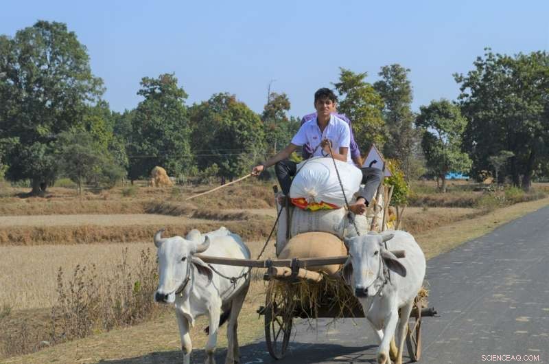 New Study Identifies Strategies to Reduce India s Groundwater Depletion Risk