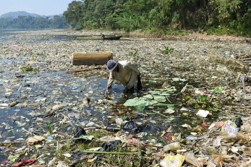 Microplastics Everywhere: From Oceans to Our Bodies – The Growing Global Threat