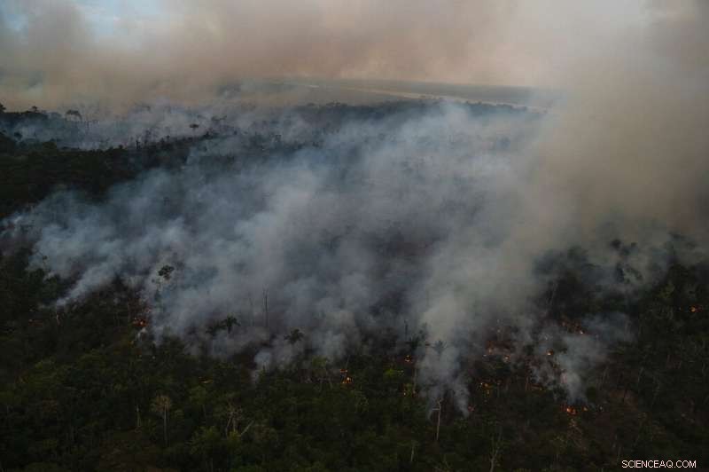 Brazil Records Record-Breaking Amazon Deforestation in First Six Months of 2022