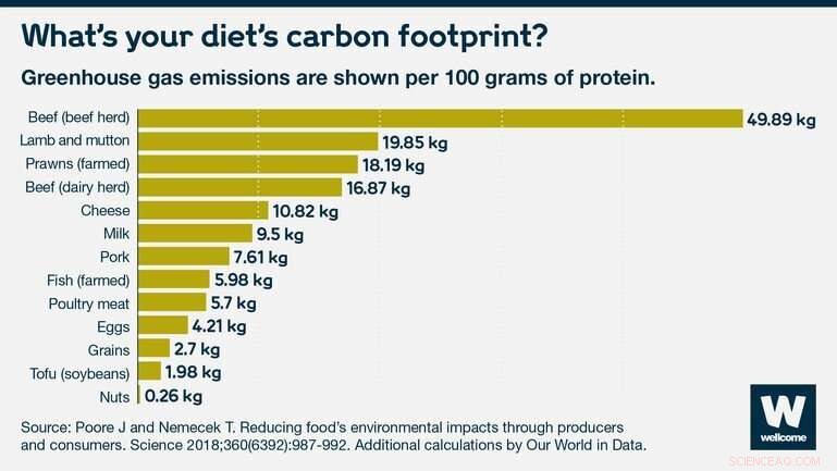 How a Plant‑Based Diet Cuts Carbon Emissions and Combats Climate Change