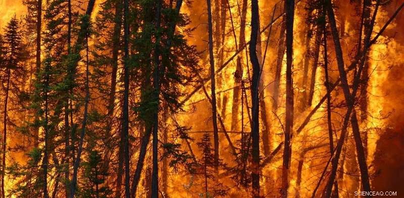 Wildfire Risk Expands Worldwide, Yet Human Actions Can Still Direct Fire Outcomes