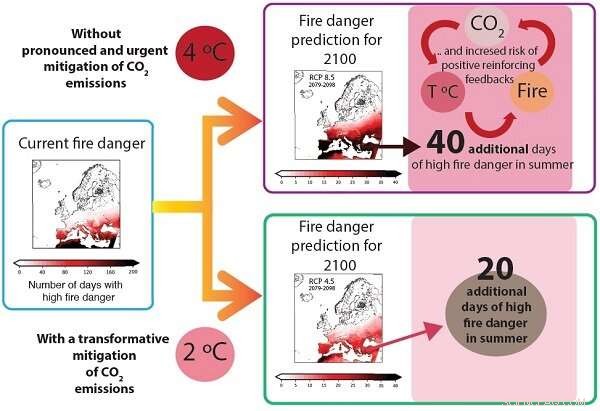 New Study Highlights Unprecedented Rise in European Summer Fire Risks Linked to Climate Change