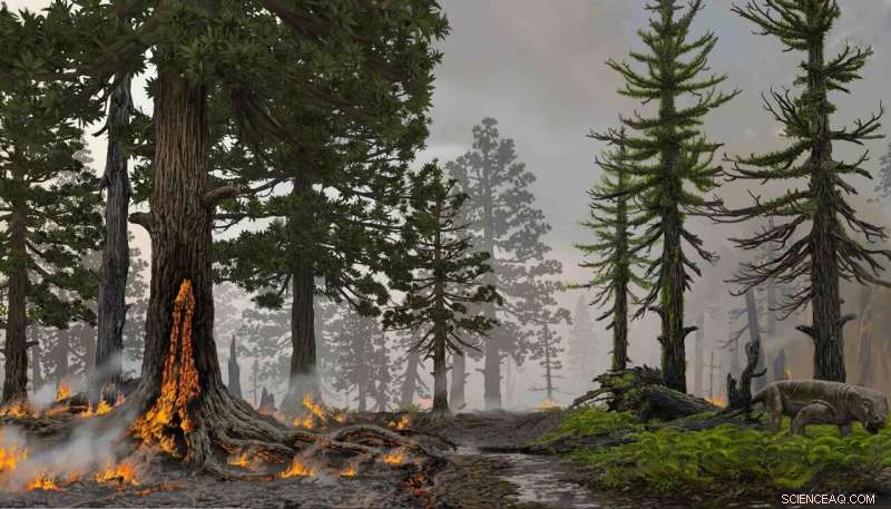 Wildfires Triggered Ecosystem Collapse During Earth s Worst Mass Extinction