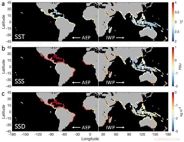 Ocean Climate Shifts Threaten Mangrove Seed Dispersal