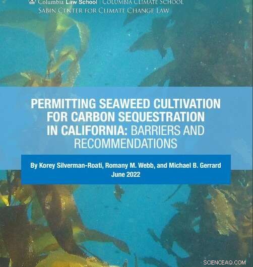 California Seaweed Cultivation for Carbon Removal: Challenges and Strategic Recommendations