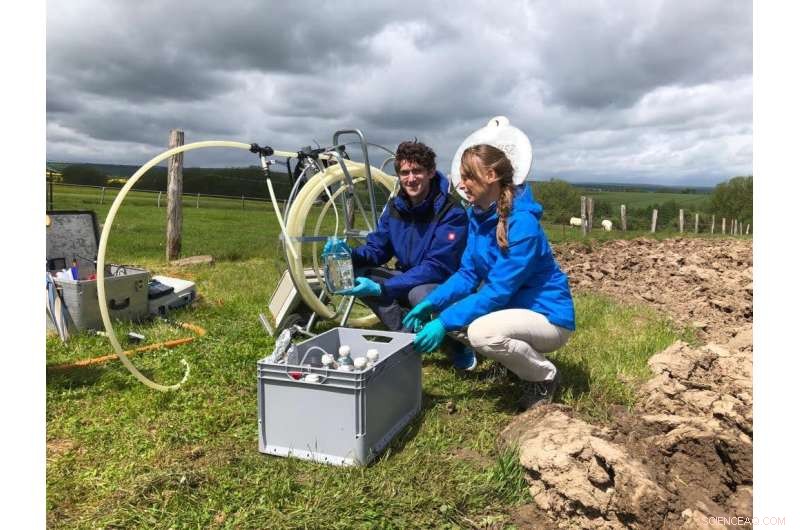 Earth s Interior: A Surprising Hub of Life Production Comparable to Oceanic Ecosystems