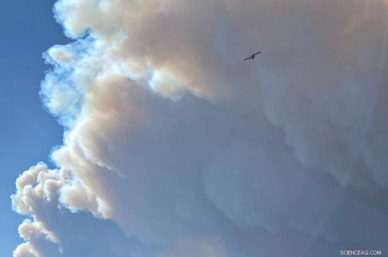 California’s Dixie Fire Highlights the Impact of Legacy Effects and Prescribed Burns